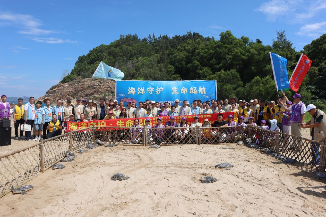 海龟增殖放流活动在惠东海龟湾圆满举行
